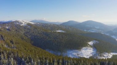 Yüksek karlı dağ, güneşli soğuk bir günde köknar ağaçlarıyla kaplı.