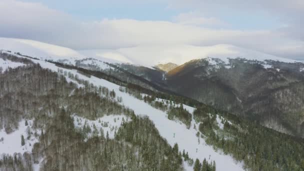 Högt snöigt berg täckt med vintergröna granar en solig kall dag — Stockvideo