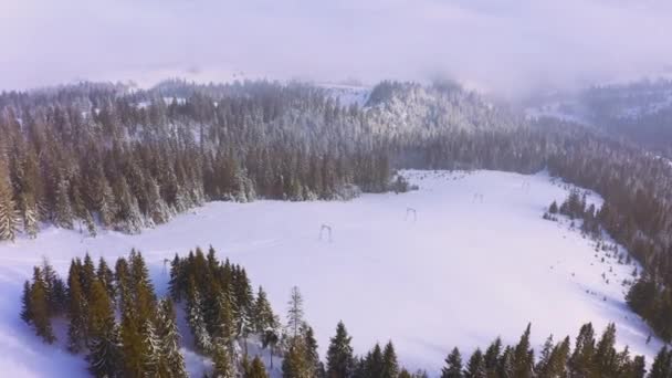 Mountain slopes covered with a lush Christmas tree and snow-white snow with a ski area and a long and old lift — Stock videók