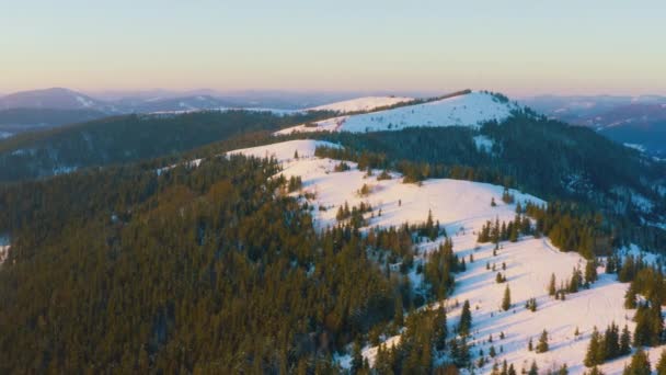 Een buitengewone vallei met heuvels en bergen bedekt met dennenbossen tegen de achtergrond van een felroze zonsondergang — Stockvideo