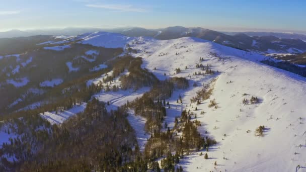 Висока засніжена гора, вкрита вічнозеленими ялиновими деревами в сонячний холодний день — стокове відео