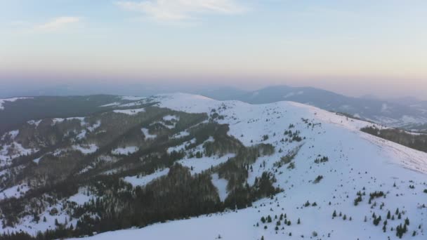 Een buitengewone vallei met heuvels en bergen bedekt met dennenbossen tegen de achtergrond van een felroze zonsondergang — Stockvideo