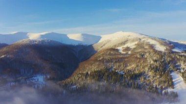 Yüksek karlı dağ, güneşli soğuk bir günde köknar ağaçlarıyla kaplı.