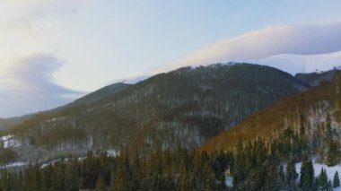 Yüksek karlı dağ, güneşli soğuk bir günde köknar ağaçlarıyla kaplı.