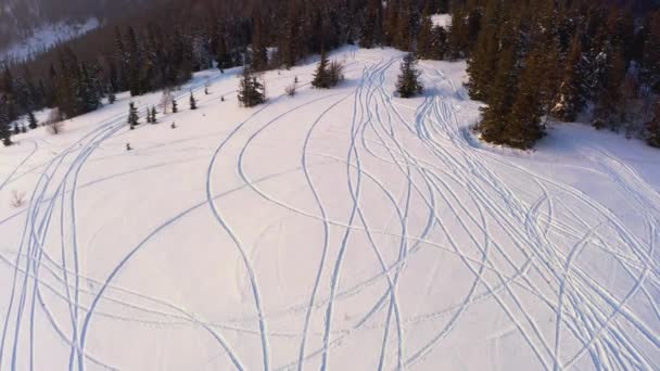 Un pequeño claro cubierto de nieve con muchas pistas de esquí y árboles de Navidad individuales en el fondo del cielo de la noche — Vídeo de stock