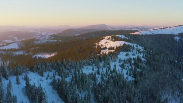 Une vallée extraordinaire avec des collines et des montagnes couvertes de forêts de sapins sur fond de coucher de soleil rose vif — Video