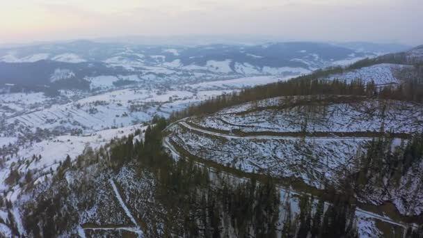 De weg loopt langs de helling van een hoge heuvel tussen de dennenbomen in een eeuwig groen bos in de Karpaten Vallei — Stockvideo