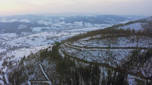 Die Straße führt am Hang eines hohen Hügels zwischen Tannen in einem immergrünen Wald im Karpatental entlang. — Stockvideo