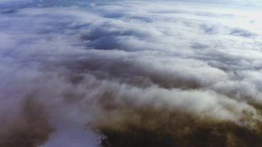Karla kaplı dağların ve yeşil ormanların üzerindeki puslu vadi