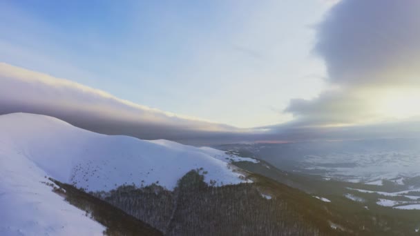 Alta montaña nevada cubierta de abetos siempreverdes en un día soleado y frío — Vídeos de Stock
