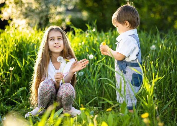 Bruder und Schwester haben Spaß beim Spielen mit blühenden weißen gelben und flauschigen Löwenzahn in einem warmen Frühlingsgarten — Stockfoto