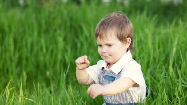 Un enfant mignon dans une salopette bleue et les yeux bleus joue drôle dans la haute herbe verte dans un parc vert en fleurs — Video