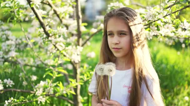 Uma menina olha para a câmera com concentração e segura um dente de leão branco em um fundo de grama verde no jardim — Vídeo de Stock