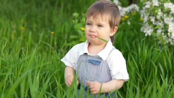 Смешной маленький мальчик с голубыми яркими глазами в комбинезоне ест свежую зеленую траву в большом цветущем саду — стоковое видео