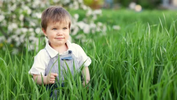 Ένα χαριτωμένο παιδί σε μια μπλε φόρμα και μπλε μάτια παίζει αστείο στο ψηλό πράσινο γρασίδι σε ένα πράσινο ανθισμένο πάρκο — Αρχείο Βίντεο