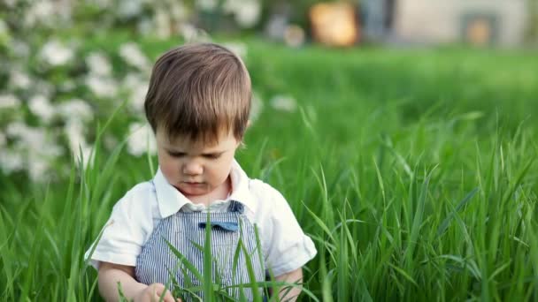 Un enfant mignon dans une salopette bleue et les yeux bleus joue drôle dans la haute herbe verte dans un parc vert en fleurs — Video