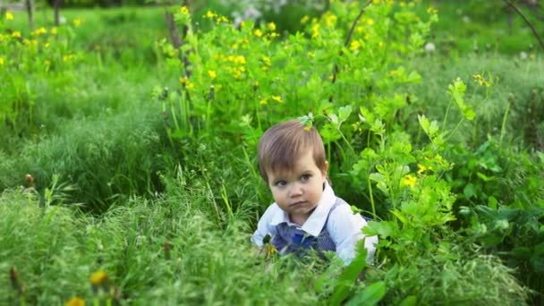 Słodki chłopiec z ekspresyjnymi niebieskimi oczami w modnym kombinezonie uśmiecha się śmiesznie i chowa się w wysokiej zielonej trawie — Wideo stockowe