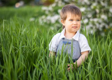 Mavi tulumlu ve mavi gözlü şirin bir çocuk yeşil bir parktaki uzun yeşil çimenlerde tuhaf oynuyor.