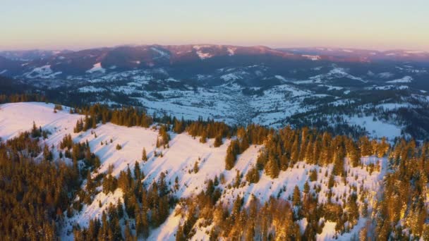 Sıradışı bir vadi tepeler ve dağlarla kaplı köknar ormanlarıyla parlak pembe bir günbatımının arka planına karşı — Stok video