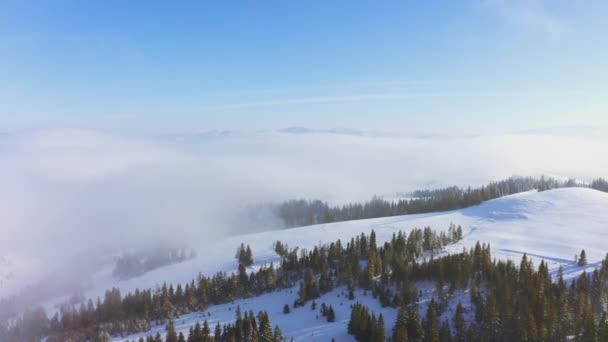 Pistas de montaña cubiertas de exuberantes árboles de Navidad y nieve blanca con un lugar para esquiar — Vídeo de stock