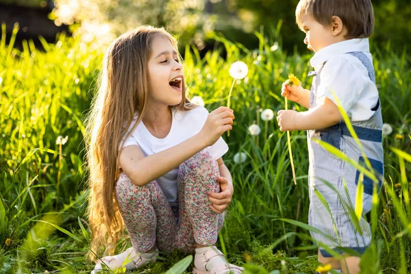 Irmão e irmã se divertir brincando com florescendo branco amarelo e macio dentes-de-leão em um jardim de primavera quente — Fotografia de Stock