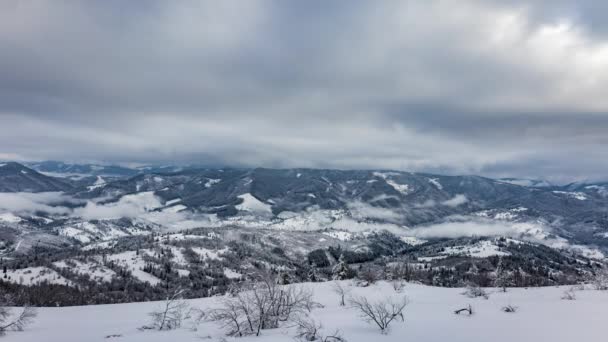 En stark vintersnöstorm i fjällen — Stockvideo