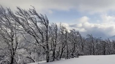 Yumuşak bulutlar, ormanlarla ve güzel dağlarla korunan beyaz karların altına sığınıyor.