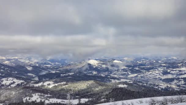 Une forte tempête de neige hivernale en montagne — Video