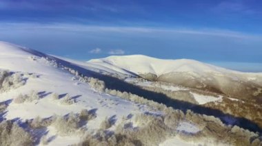 Yüksek karlı dağ, güneşli soğuk bir günde köknar ağaçlarıyla kaplı.