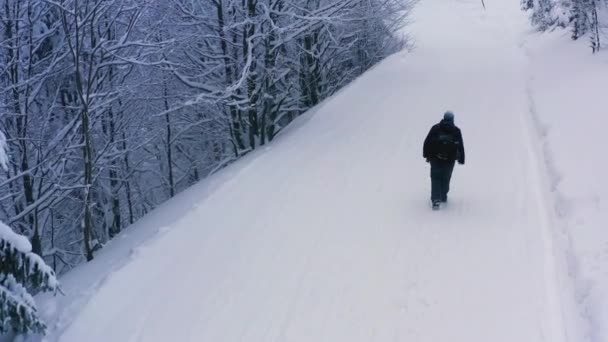 Egy fáradt turista lassan sétál a hóban egy havas ösvényen egy sűrű erdőben. — Stock videók