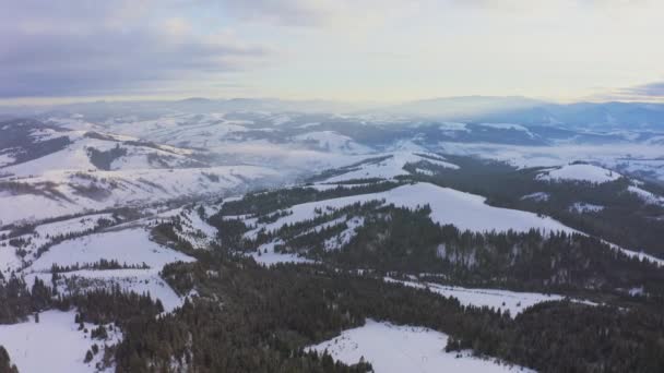 Высокая снежная гора, покрытая вечнозелеными елками в солнечный холодный день — стоковое видео