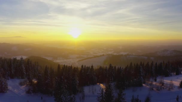 Ein außergewöhnliches Tal mit Hügeln und Bergen, die mit Tannenwäldern bedeckt sind, vor dem Hintergrund eines hellen, feurigen Sonnenuntergangs — Stockvideo