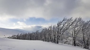 Yumuşak bulutlar, ormanlarla ve güzel dağlarla korunan beyaz karların altına sığınıyor.