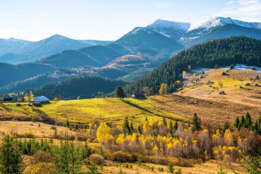 Karpat dağlarını kaplayan güzel ormanlar ve küçük bir köy.