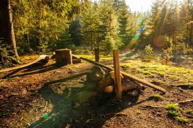 Karpatların alışılmadık tepelerinde yürüyüş için güzel bir orman.
