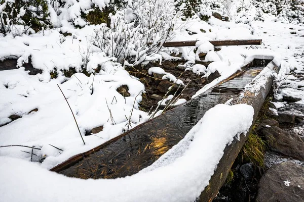 Petite source avec de l'eau claire et transparente dans la forêt des Carpates — Photo