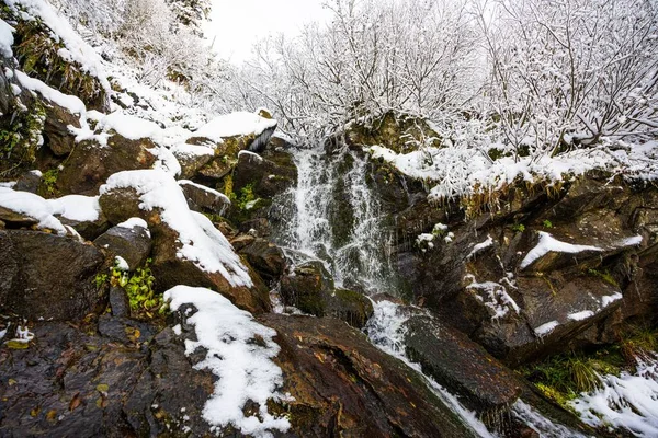Petit ruisseau parmi les pierres humides et la neige blanche dans les pittoresques montagnes des Carpates en Ukraine — Photo