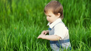 Mavi tulumlu ve mavi gözlü şirin bir çocuk yeşil bir parktaki uzun yeşil çimenlerde tuhaf oynuyor.