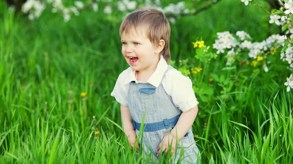 Ein süßer Junge mit ausdrucksstarken blauen Augen in einem modischen Overall lächelt lustig und versteckt sich im hohen grünen Gras — Stockfoto