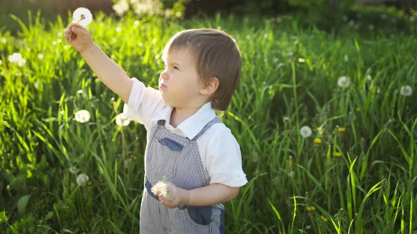 Bruder und Schwester haben Spaß beim Spielen mit blühenden weißen gelben und flauschigen Löwenzahn in einem warmen Frühlingsgarten — Stockfoto