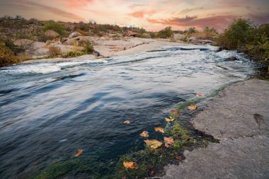 Pürüzsüz, ıslak ve karanlık taşların ve kuru alçak ağaçların arasında küçük, parlak bir dere akıyor.