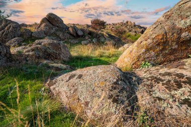 Büyük yeşil-sarı bir tarlada küçük bir taş yığını olağanüstü güzel mavi bir gökyüzünün arka planına karşı.