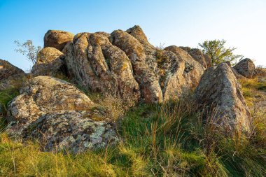 Büyük yeşil-sarı bir tarlada küçük bir taş yığını olağanüstü güzel mavi bir gökyüzünün arka planına karşı.