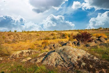 Büyük yeşil-sarı bir tarlada küçük bir taş yığını olağanüstü güzel mavi bir gökyüzünün arka planına karşı.