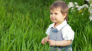 Tulum giymiş mavi parlak gözlü, kocaman bir bahçede taze yeşil çimen yiyen komik küçük çocuk.