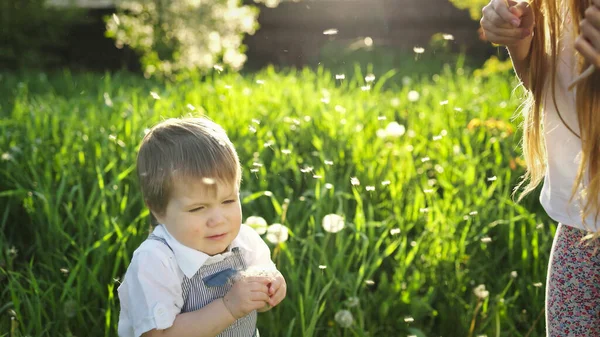 Irmão e irmã se divertir brincando com florescendo branco amarelo e macio dentes-de-leão em um jardim de primavera quente — Fotografia de Stock