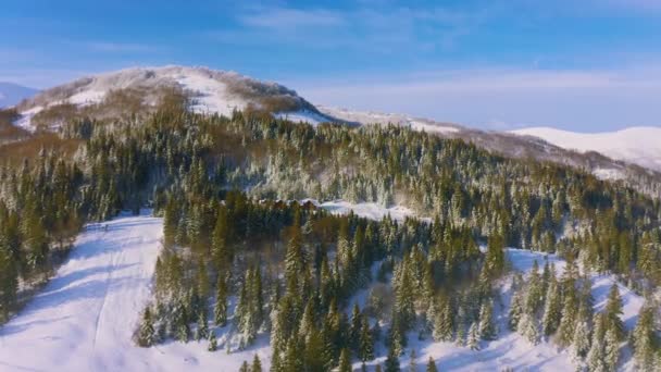 Vale nebuloso sobre montanhas cobertas de neve e florestas verdes — Vídeo de Stock