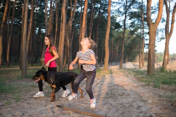 Chica saltando sobre una rama en una mañana soleada en el bosque y en el fondo hermana con un perro —  Fotos de Stock