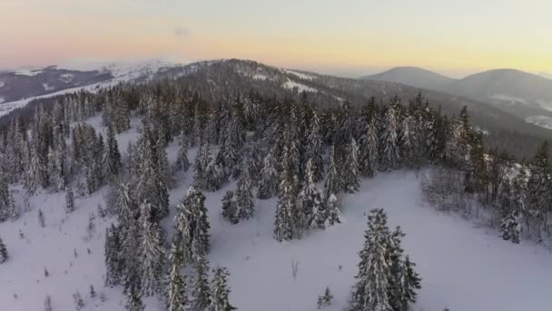 一个奇异的山谷，山上覆盖着冷杉林，背景是明亮的粉色落日 — 图库视频影像