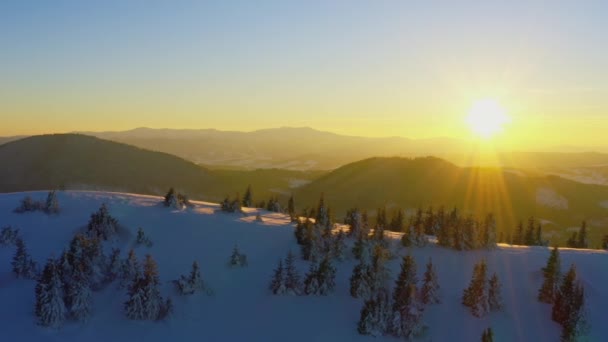 Μια εξαιρετική κοιλάδα με λόφους και βουνά καλυμμένα με δάση από έλατα με φόντο ένα φωτεινό φλογερό ηλιοβασίλεμα — Αρχείο Βίντεο